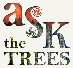 Ask the Trees